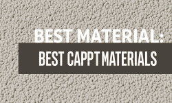 Featured image of post A Guide to Choosing the Best Carpet Materials for Your Home