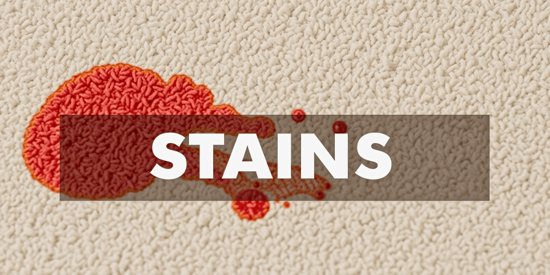 Featured image of post DIY Carpet Cleaning: Tips to Remove Common Stains at Home