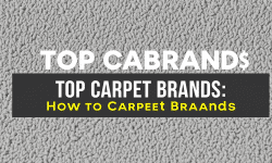 Featured image of post How to Choose the Best Carpet Brand for Your Needs