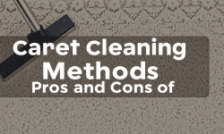 Featured image of post Pros and Cons of Different Carpet Cleaning Techniques