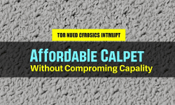 Featured image of post Tips for Buying Affordable Carpets Without Compromising Quality