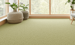 Featured image of post Why Eco-Friendly Carpets Are the Future of Sustainable Living